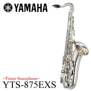 YAMAHA / YTS-875EXS ⃁bLd }n JX^EX ei[TbNX s󒍐Y/[񔼔NȏtoבO 5Nۏ