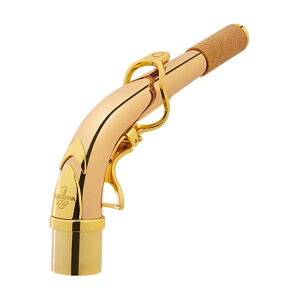 Yanagisawa / AKz-2 iMT AgTbNXplbN uYuXy񂹏iz