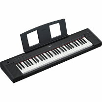 楽天市場】piaggero np11の通販