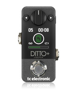 tc electronic / Ditto+ Looper [p[yKizyPNGz