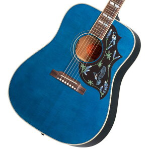 Gibson / Miranda Lambert Bluebird Bluebonnet ~_ o[g n~Oo[hsGibson`[i[v[gtyYRKz