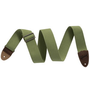 sWEBSHOPNAXZ[tGibson / ASCNVS-GRN The Canvas (Green) Mu\ XgbvyPNGz