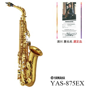 YAMAHA / YAS-875EX {W玁Ii AgTbNX JX^EX 5Nۏ oבO