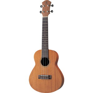 aNueNue / Ukulele Hawaiian Dream Series Africa Mahognay II aNN-C30 Concert EN RT[g