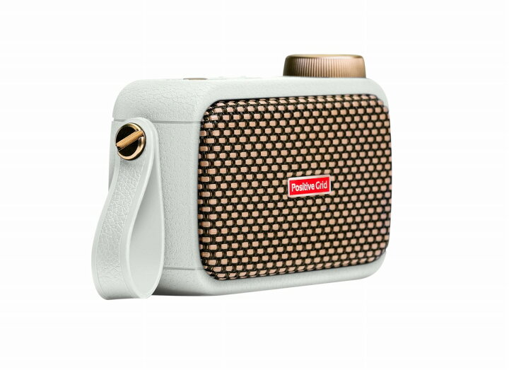 楽天市場】【あす楽対象商品】Positive Grid / Spark GO Pearl 