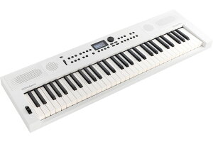 Roland [h / GOKEYS5-WH (GO:KEYS 5) zCg Digital Keyboard