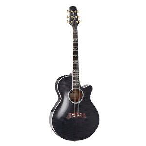 Takamine / FPT181AC SBL 100 Series V[gEXP[ y퐻쏊 ^J~l { GARyPNGz