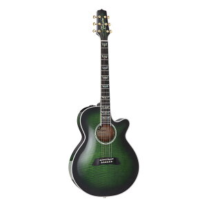 Takamine / FPT181AC SGS 100 Series V[gEXP[ y퐻쏊 ^J~l { GARyPNGz