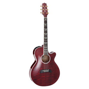 Takamine / FPT181AC WR 100 Series V[gEXP[ y퐻쏊 ^J~l { GARyPNGz