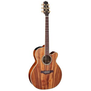 Takamine / FPT531KC N 500 Series RA y퐻쏊 ^J~l { GARyPNGz