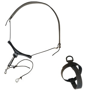 B.AIR / EChVZpo[hXgbv EWISOLOpA_v^[t BS-WS-CP+SOLO