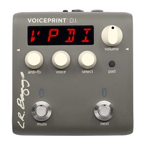 �s�Z�[���i�tL.R.Baggs / Voiceprint �A�R�[�X�e�B�b�N�y��p �v���A���v�yPNG�z