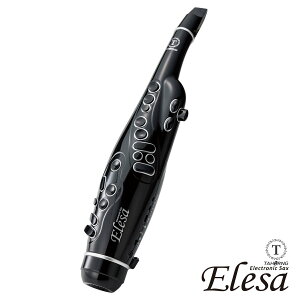 TAHORNG / ELS10NB-BK ubN dqTbNX GT fW^TbNX tP[XȂ y񂹏iz