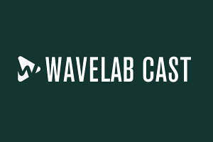 Steinberg �X�^�C���o�[�O / WaveLab Cast 2�y�_�E�����[�h�Ń��[���[�i ����s�z�yPNG�z