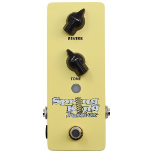 Danelectro / SKJ-1 SPRING KING JUNIOR _GNg o[uyPNGz