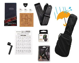 Aria / Ishibashi Gakki Original Acoustic Guitar Accessary Set [�A�R�M�p�A�N�Z�T���[10�_�Z�b�g]