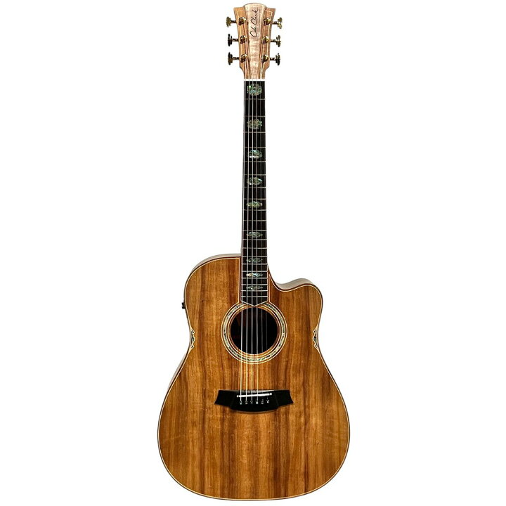 楽天市場】Cole Clark / Touring Series CCFL3EC-BLBL-AE 3 Grade All 