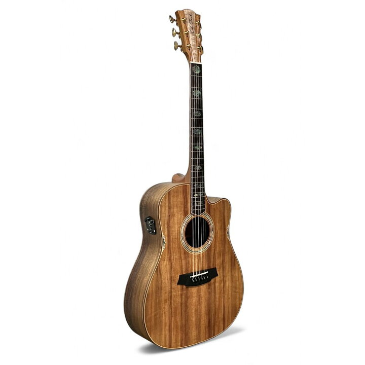 楽天市場】Cole Clark / Touring Series CCFL3EC-BLBL-AE 3 Grade All 