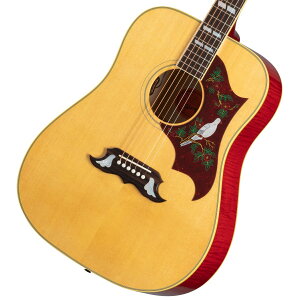 Gibson / Dove Original Antique Natural [Original Collection] Mu\ _u _yYRKz