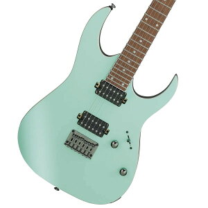 RG RG421S [SEM]