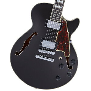 D'Angelico / Premier SS Black Flake fBAWFR Z~AR[XeBbNyiizyPNGz
