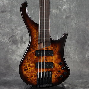 Ibanez / EHB1505S-DEL (Dragon Eye Burst Low Gloss) [胂f] ACoj[Yy3.14kg/2025Nz[S/N I250103682]yPNGz
