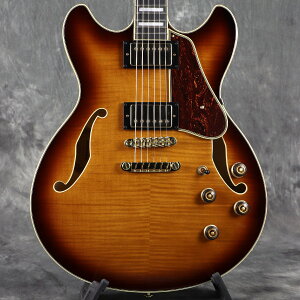 Ibanez / AS93FM-VLS(Violin Sunburst) ACoj[Y Z~ARy3.73kg/2025Nz[S/N PW25030380]yPNGz