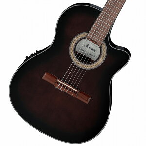 Ibanez / GA30TCE-DVS Dark Violin Sunburst アイバニーズ エレガット ナイロンストリングス【数量限定特価!】【PNG】