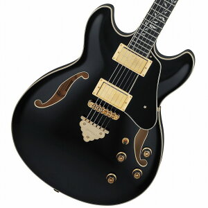 Ibanez / Artcore Expressionist AS93SP-BK (Black) ACoj[Y [SPOT MODEL]yBAEgbgzyPNGz