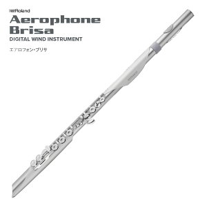 �y����ȍ~���ו��\���t�zRoland / AEROPHONE AE-BRISA �G�A���t�H���u���T �f�W�^���Ǌy�� �E�C���h�V���Z