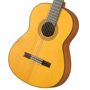 GC�V���[�Y CG122MS