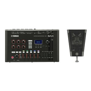 YAMAHA / EAD50 �G���N�g���j�b�N�E�A�R�[�X�e�B�b�N�E�h�������W���[��