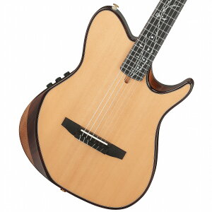 Ibanez / Tim Henson Signature TOD100N-NT(Natural High Gloss)�y���\���t���i/2026�N9�����ȍ~�z�s�X�g���b�v�u���b�N�v���[���g�I�t�yPNG�z