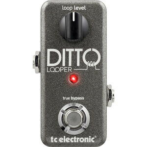 tc electronic / Ditto Looper [p[yKizyPNGz
