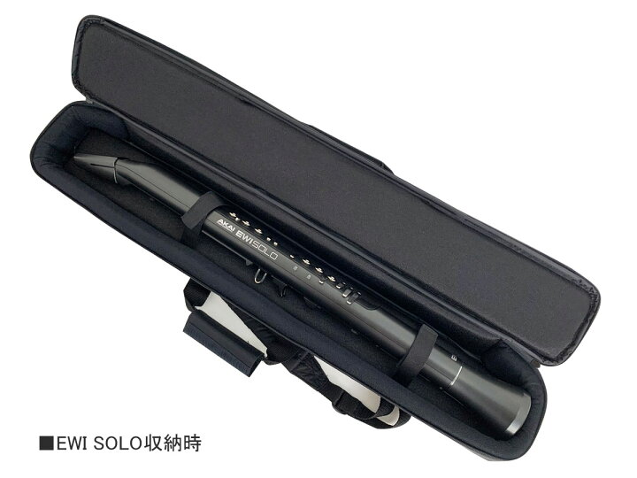 楽天市場】イシバシ楽器オリジナル EWI用 ソフトケース AKAI 