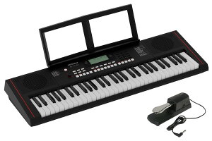 Roland ���[�����h / E-X10 [�_���p�[�E�y�_�� �Z�b�g�I] Arranger Keyboard (EX10)�yPNG�z
