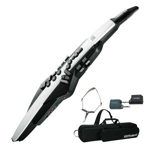 Roland / AEROPHONE AE-20 �G�A���t�H�� �f�W�^���Ǌy�� �s���C�����X�V�X�e���Z�b�g�t�yPNG�z