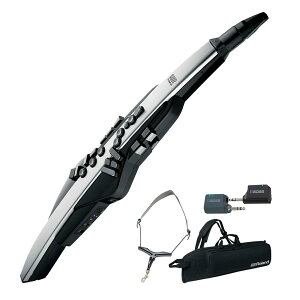 Roland / AEROPHONE PRO AE-30 �G�A���t�H�� �f�W�^���Ǌy�� ���C�����X�V�X�e���Z�b�g�yPNG�z