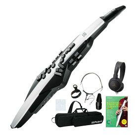Roland / AEROPHONE AE-20 エアロフォン デジタル管楽器 6大特典セット【PNG】