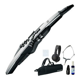 Roland / AEROPHONE PRO AE-30 エアロフォン デジタル管楽器 オリジナルセット【PNG】