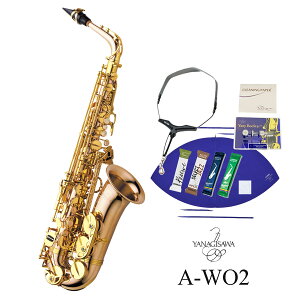 y݌ɂzYanagisawa / A-WO2 iMT AgTbNX _uI[V[Y uYuX bJ[d sIWiZbgty5Nۏ؁z