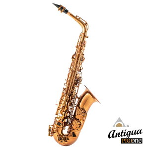 ANTIGUA / AS PROONE AM W/CASE AeBOA AgTbNX v Ao[ yoבOzy5Nۏ؁zy񂹏iz