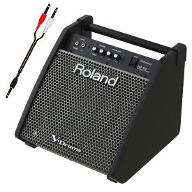 【あす楽対象商品】Roland 電子ドラム用モニタースピーカー PM-100 接続ケーブルセット【TD-17対応】【TD-27対応】【TD-50X対応】【PNG】