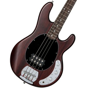 Sterling by MUSIC MAN / SUB Series Ray4 Walnut Satin X^[ ~[WbN}