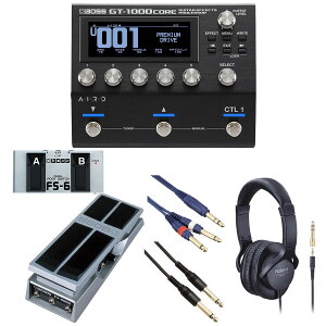 BOSS / GT-1000Core [R݂ɃTEhCNZbg] FS-6 + FV-500HyYRKzyPTNBz