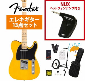 Fender / Standard Telecaster Maple Fingerboard Black Pickguard Butterscotch Blonde tF_[ GP-1AvtGLM^[S҃ZbgRyYRKz