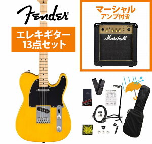 Fender / Standard Telecaster Maple Fingerboard Black Pickguard Butterscotch Blonde tF_[ Marshall MG10AvtGLM^[S҃ZbgRyYRKz