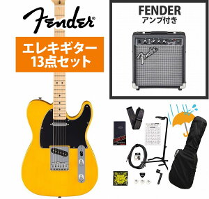 Fender / Standard Telecaster Maple Fingerboard Black Pickguard Butterscotch Blonde tF_[ Fender 10WAvtGLM^[S҃ZbgRyYRKz