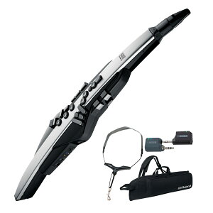 Roland / AEROPHONE PRO AE-30 GAtH fW^Ǌy CXVXeZbgyPNGz