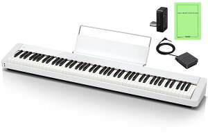 CASIO JVI / PX-S1100WE (zCg) fW^sAmyPTNBz